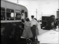 Marina 1950s